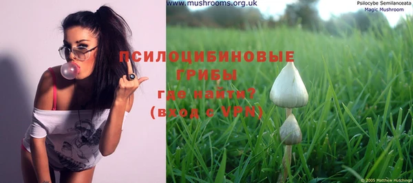 2c-b Верхний Тагил