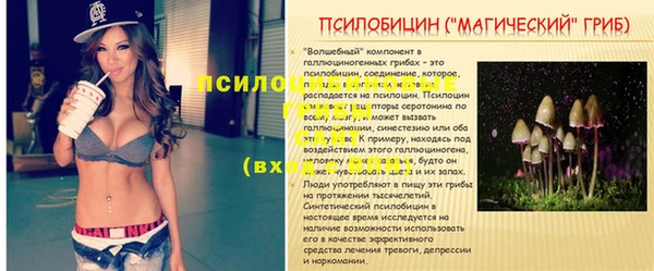 гидропоника Верея