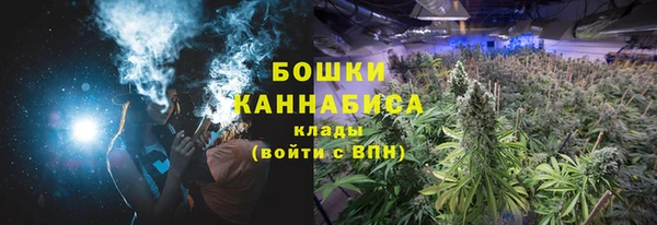2c-b Верхний Тагил