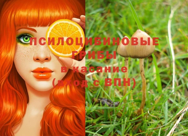 гидропоника Верея