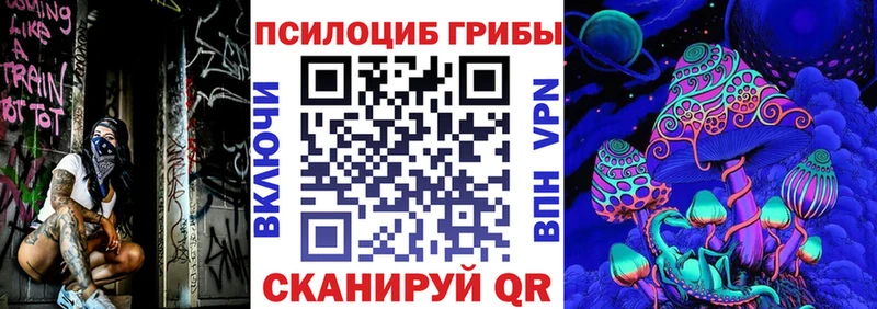 Псилоцибиновые грибы Psilocybine cubensis  Медногорск 